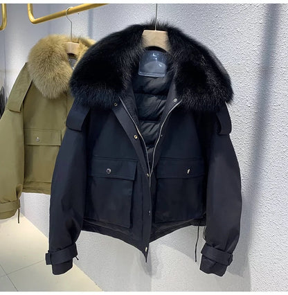 Blouson Fox